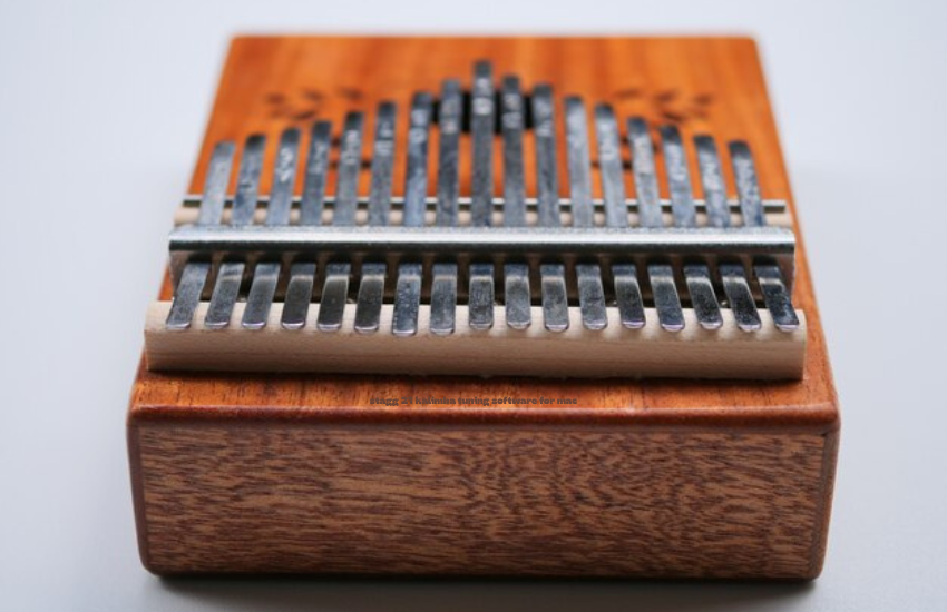 stagg 21 kalimba tuning software for mac
