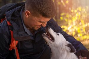 175 dogs saved from hoarder in gulfport ms. oct.2011