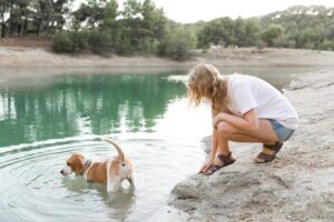 175 dogs saved from hoarder in gulfport ms. oct.2011